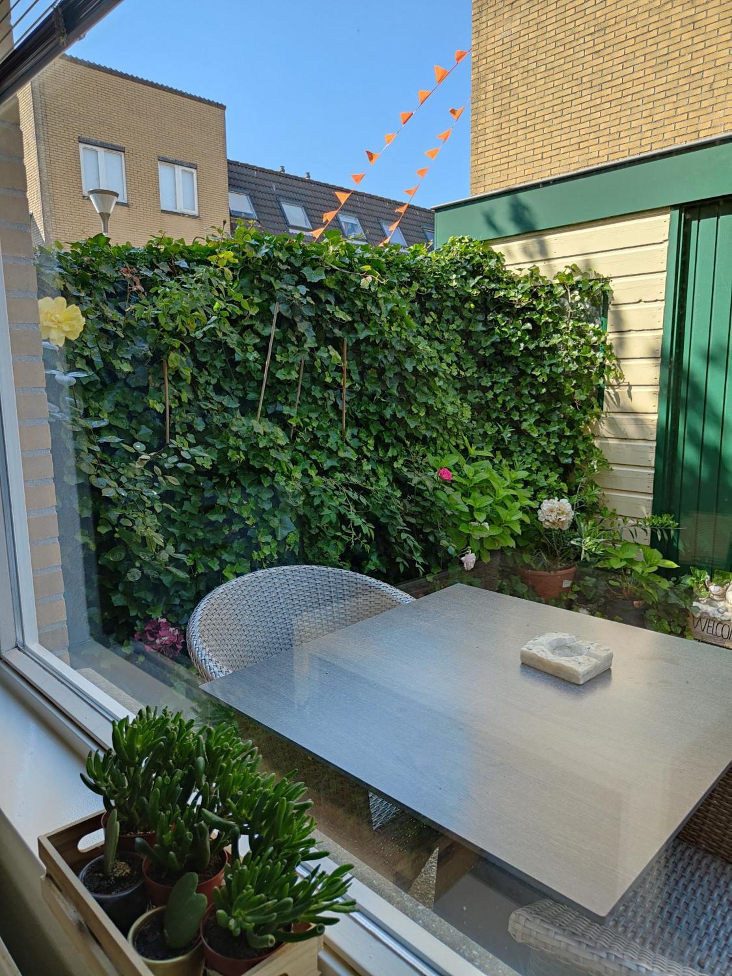Yuki Villa Zandvoort Buitenkant foto